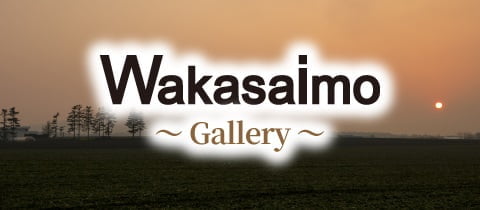 banner_gallery_en