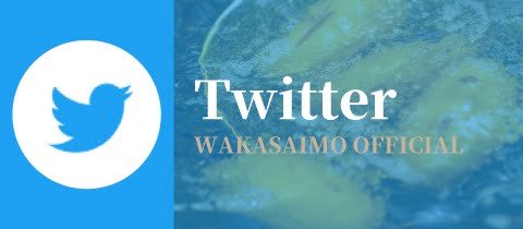 banner_sns_twitter