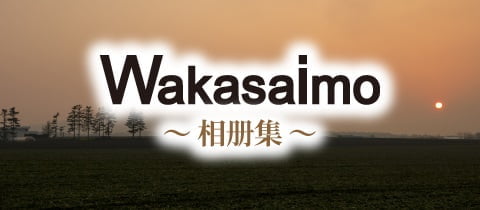 banner_gallery_cn