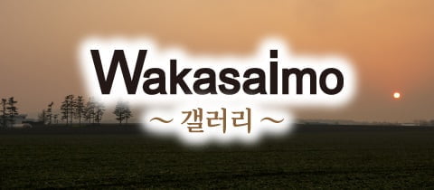 banner_gallery_ko